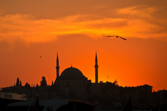 Mosque in Istanbul by Simon Infanger 
